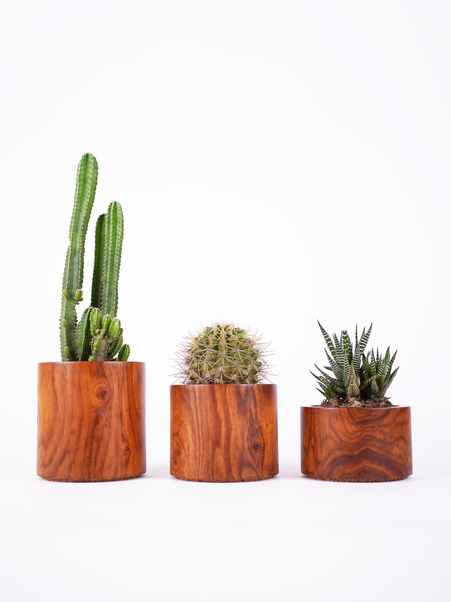 Circle Planter Set