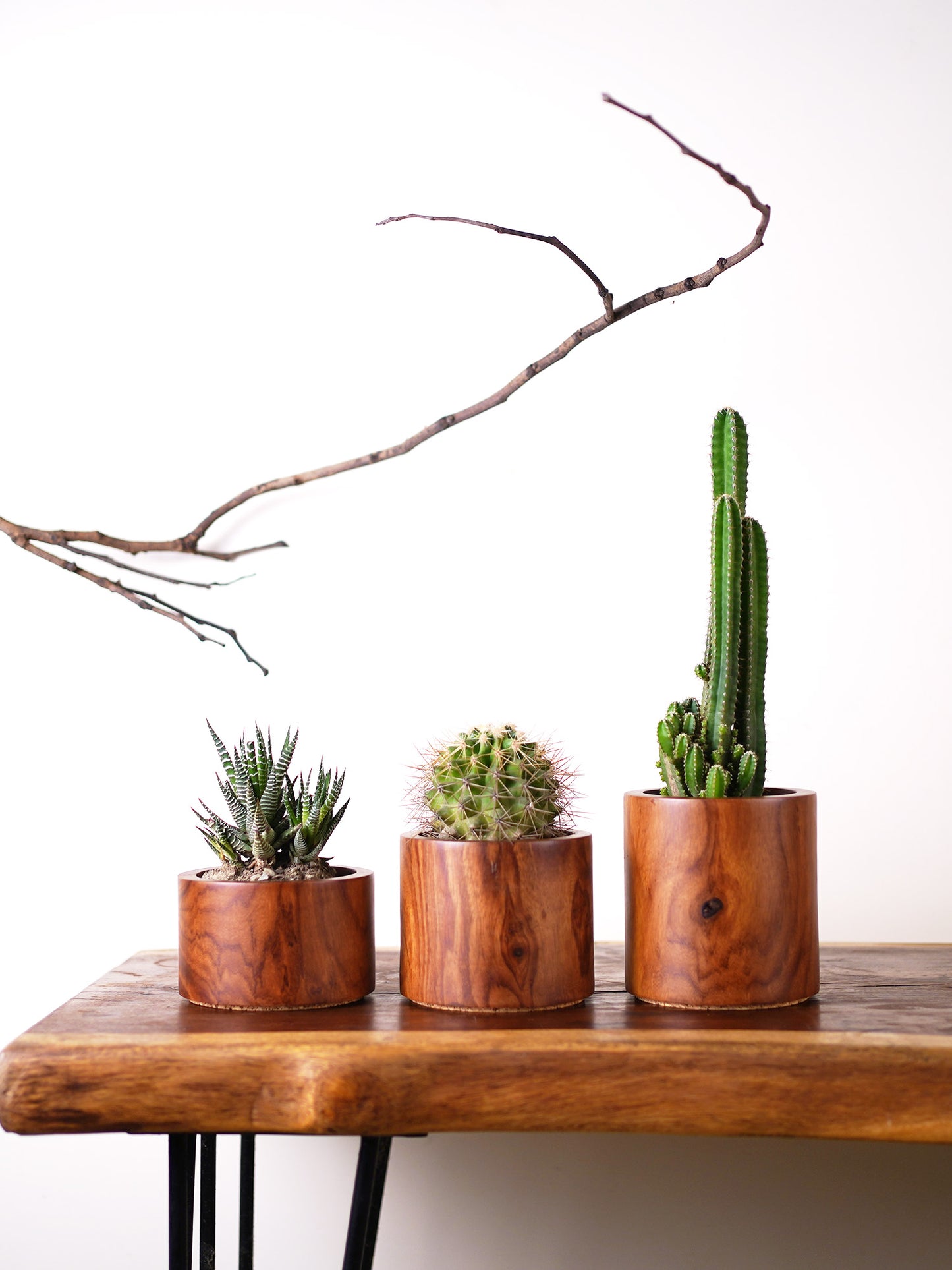 Circle Planter Set