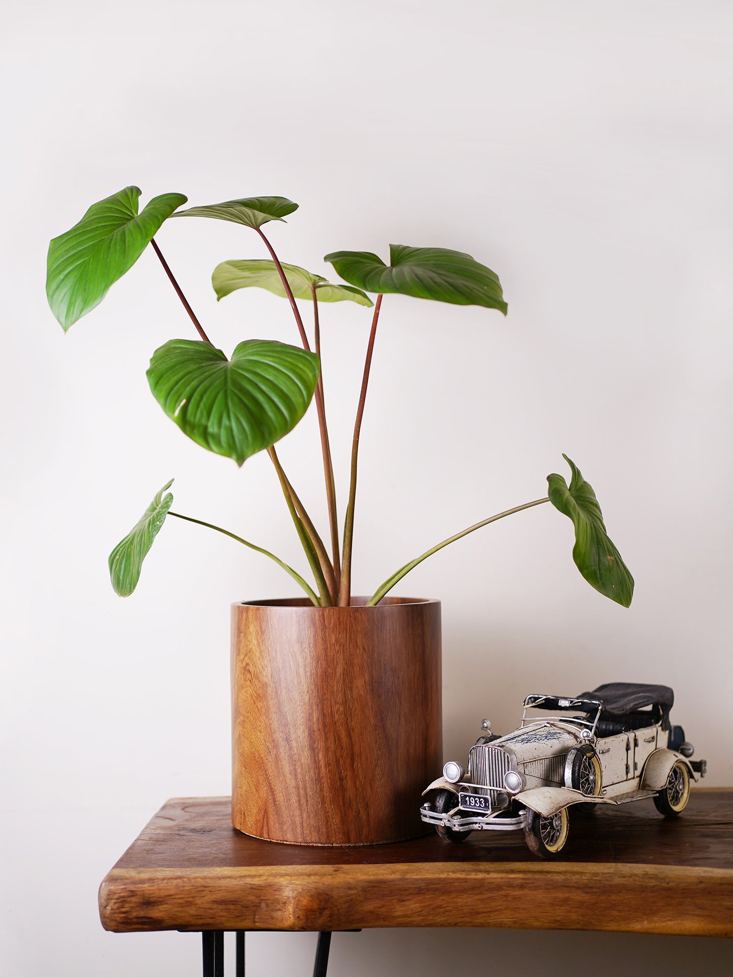 Extra Large Circle Planter
