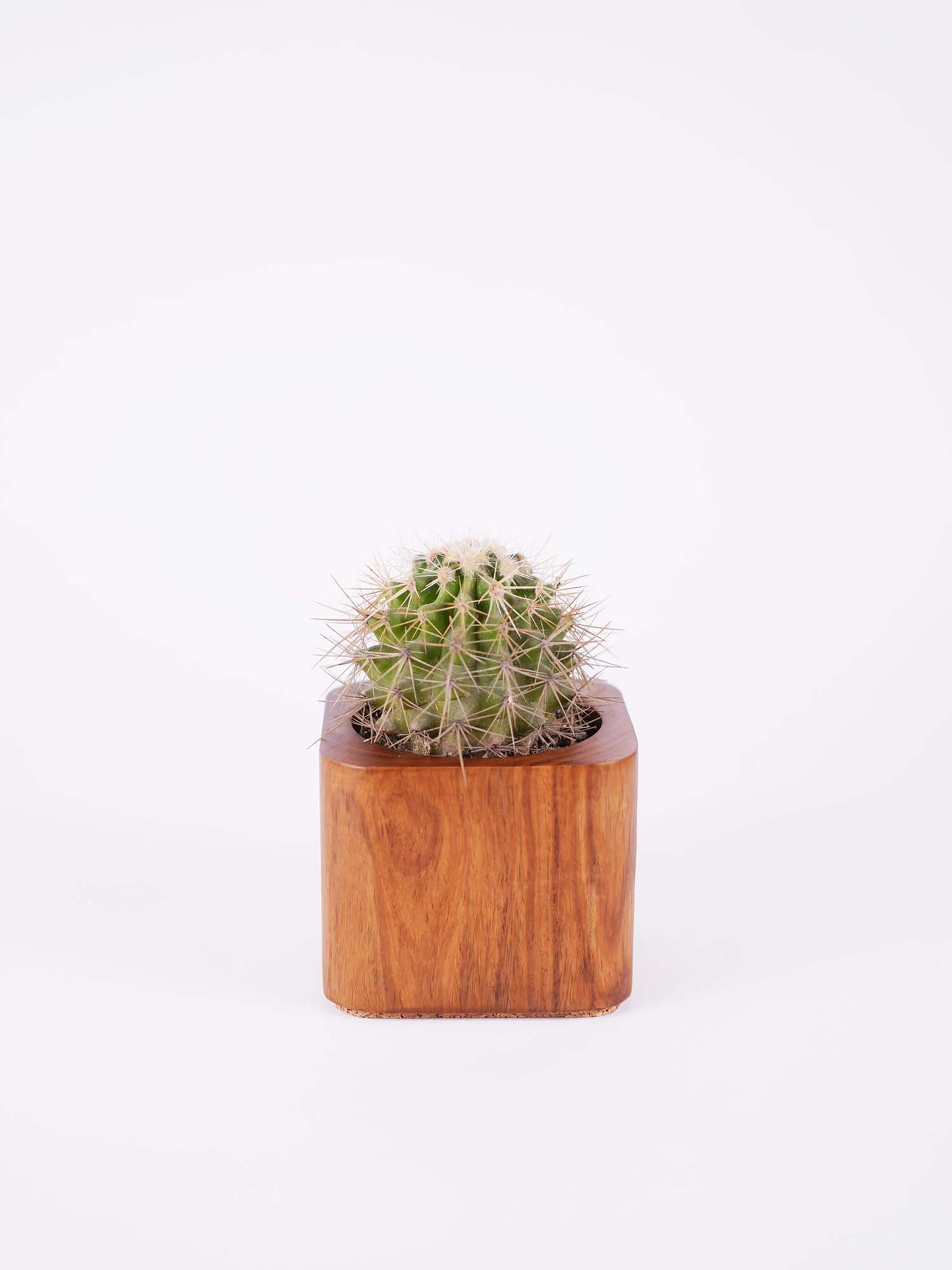 Medium Rectangle Planter