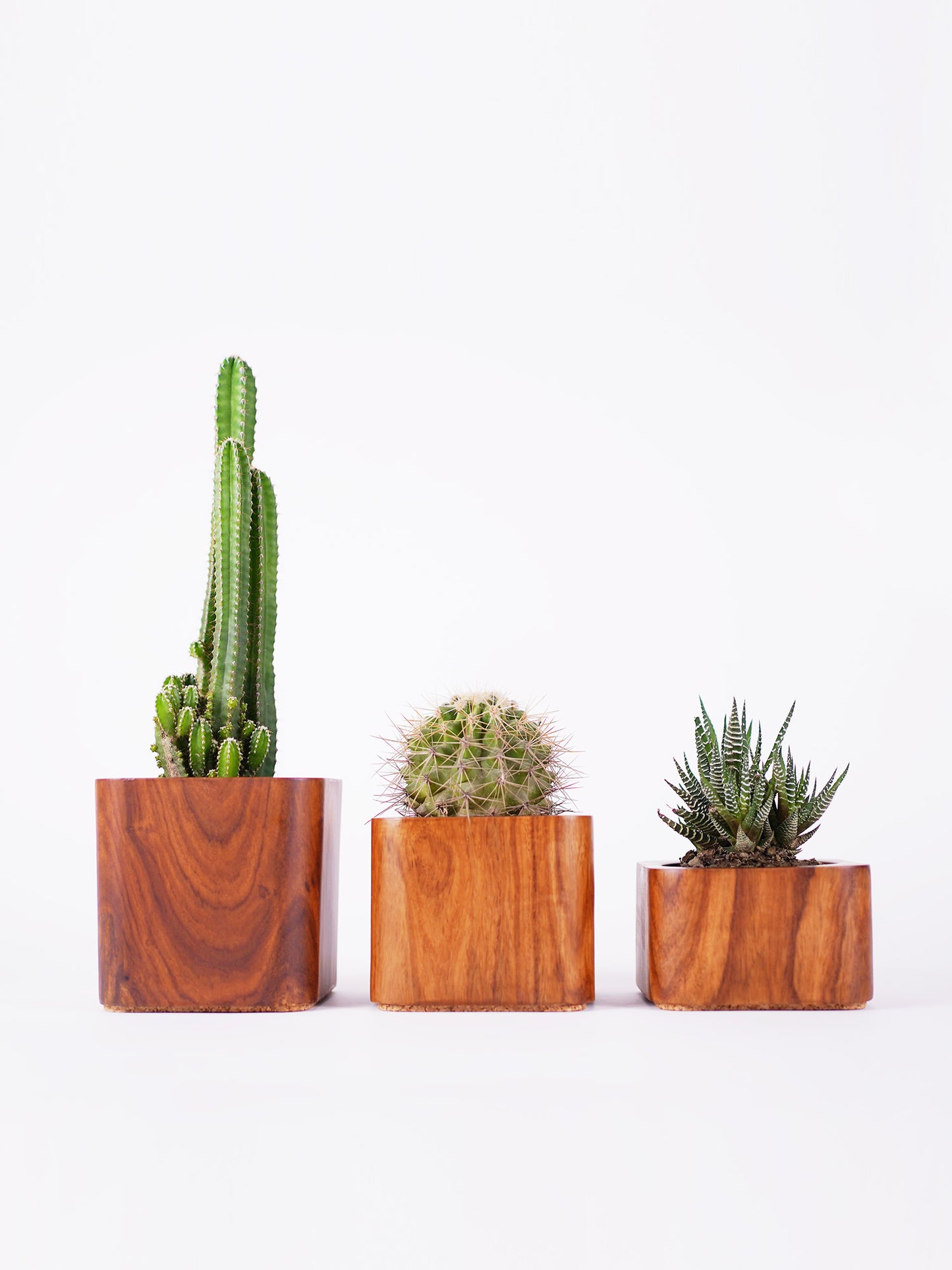 Rectangle Planter Set