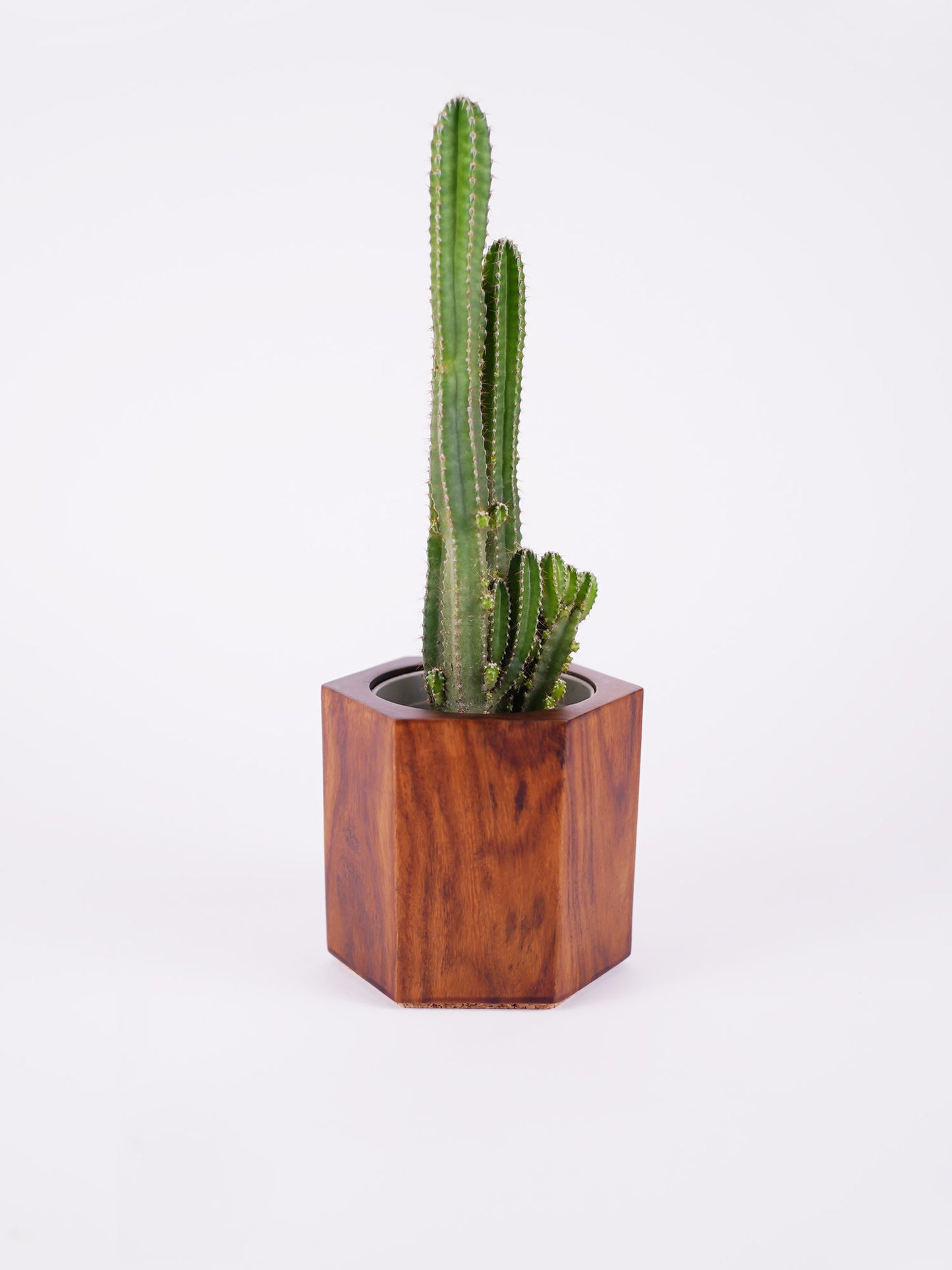 Large Hexagon Planter