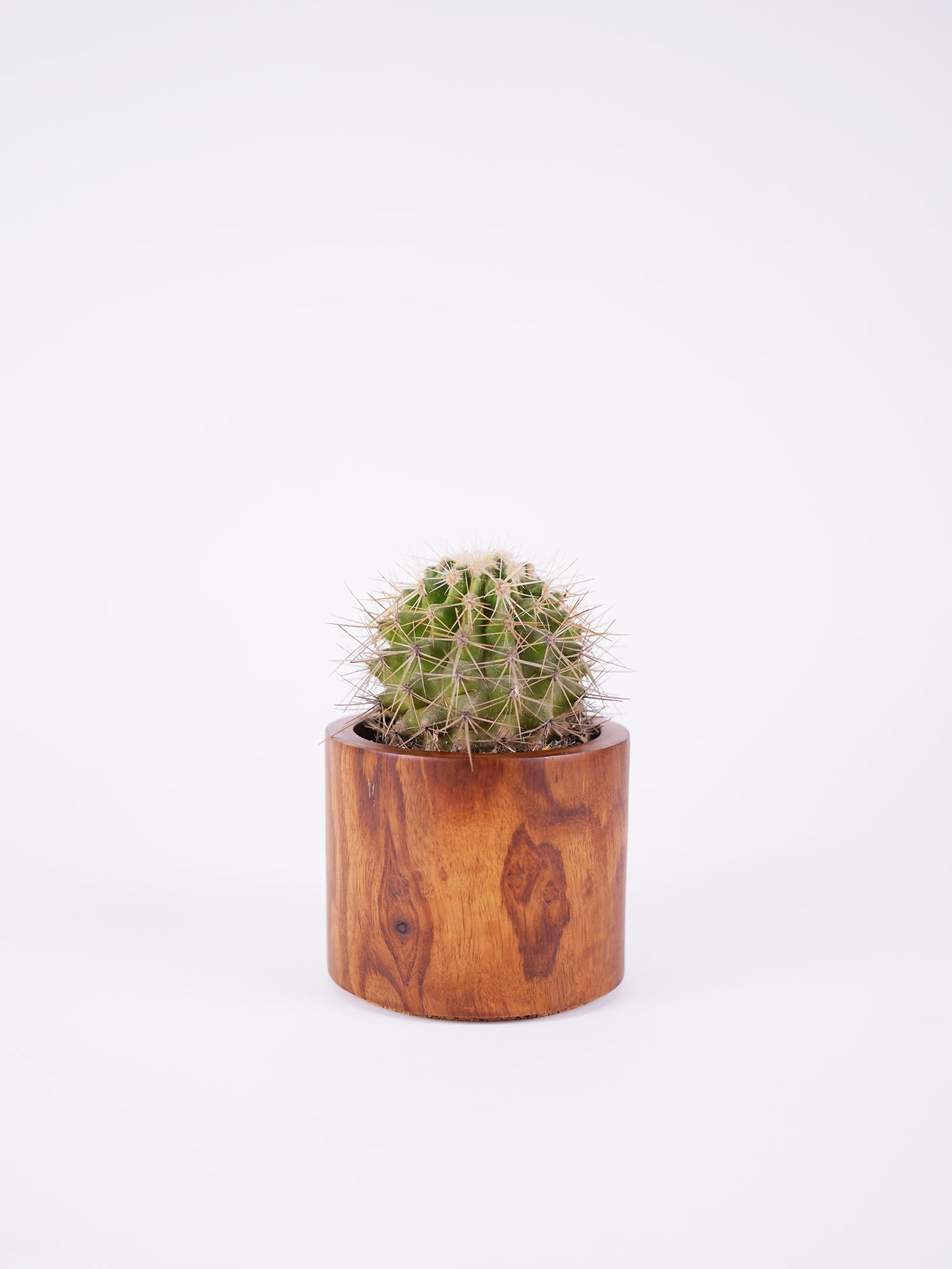 Medium Circle Planter