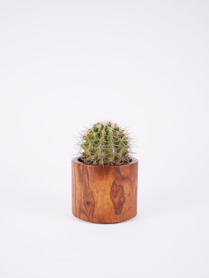 Medium Circle Planter