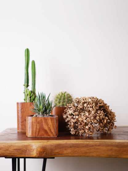 Rectangle Planter Set